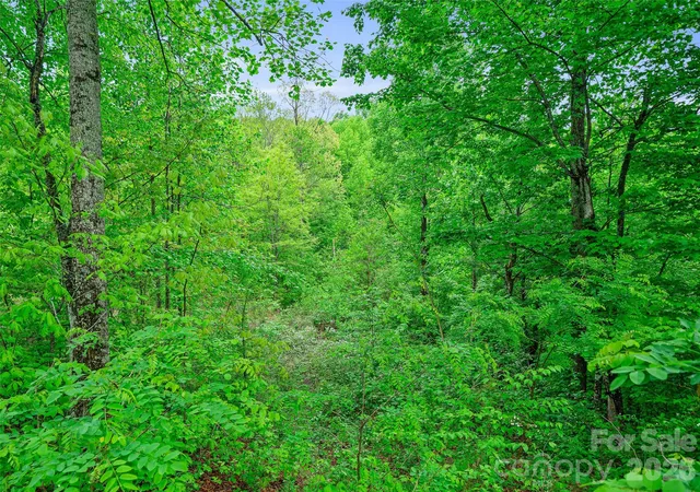 5th image of 2380 Old Fort Rd, Black Mountain, NC 28711 | MLS# 4370684