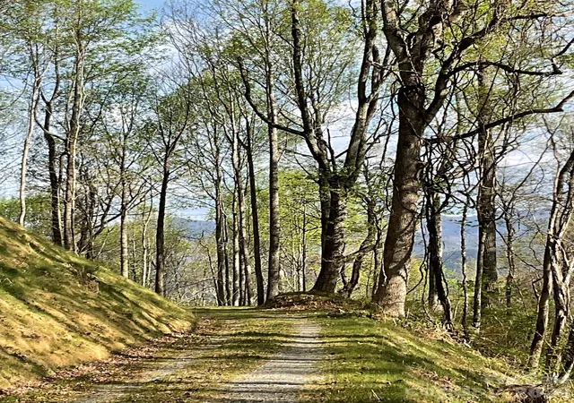 Photo 1 of Land for sale at 1414 Easy Wind Dr #56, Swannanoa, NC 28778 | MLS# 4370716 | Listing updated on 2026-09-20