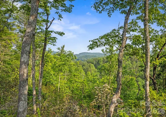 Photo 5 of Land for sale at 251 Paul Mccoy Rd, Lake Toxaway, NC 28747 | MLS# 4370762 | Listing updated on 2026-08-22