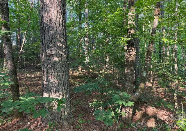 Photo 2 of Land for sale at 3249 Sherman Dr, Lancaster, SC 29720 | MLS# 4370783 | Listing updated on 2026-08-26