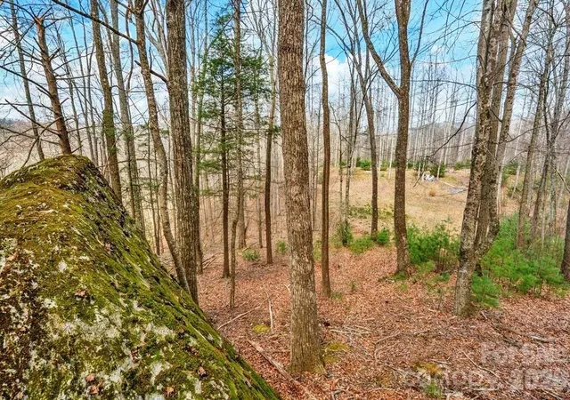 Photo 1 of Land for sale at Tbd Denney Wood Rd, Sugar Grove, NC 28679 | MLS# 4370789 | Listing updated on 2026-04-16