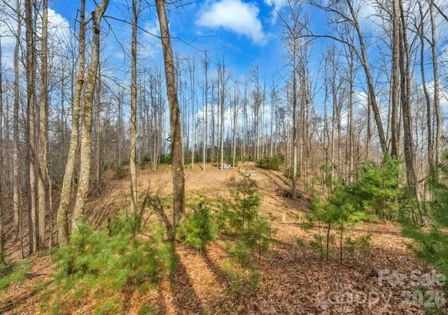 Photo 2 of Land for sale at Tbd Denney Wood Rd, Sugar Grove, NC 28679 | MLS# 4370789 | Listing updated on 2026-04-16