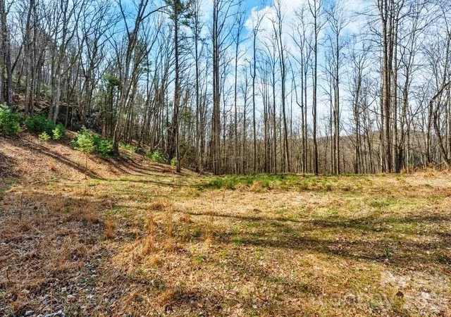 Photo 3 of Land for sale at Tbd Denney Wood Rd, Sugar Grove, NC 28679 | MLS# 4370789 | Listing updated on 2026-04-16