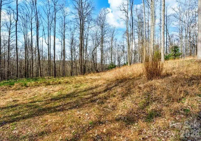 Photo 4 of Land for sale at Tbd Denney Wood Rd, Sugar Grove, NC 28679 | MLS# 4370789 | Listing updated on 2026-04-16