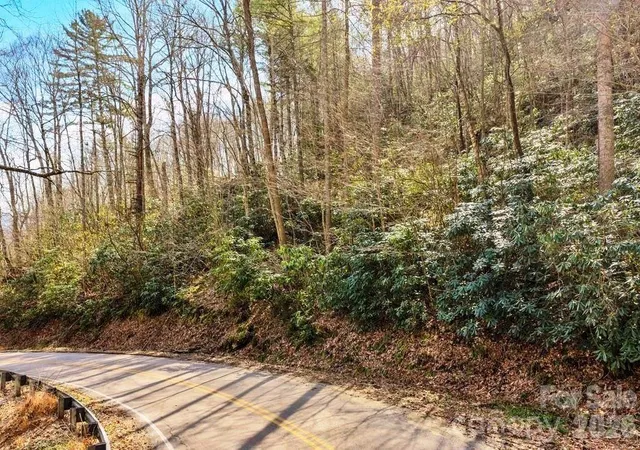 Photo 3 of Land for sale at Tbd Rominger Rd, Sugar Grove, NC 28679 | MLS# 4370806 | Listing updated on 2026-04-16