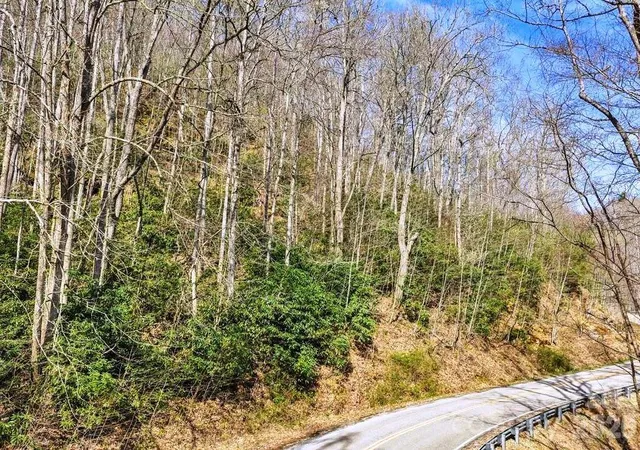 Photo 4 of Land for sale at Tbd Rominger Rd, Sugar Grove, NC 28679 | MLS# 4370806 | Listing updated on 2026-04-16