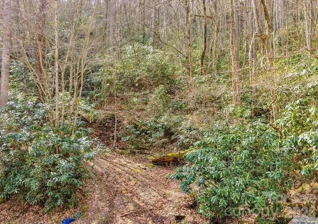 Photo 5 of Land for sale at Tbd Rominger Rd, Sugar Grove, NC 28679 | MLS# 4370806 | Listing updated on 2026-04-16