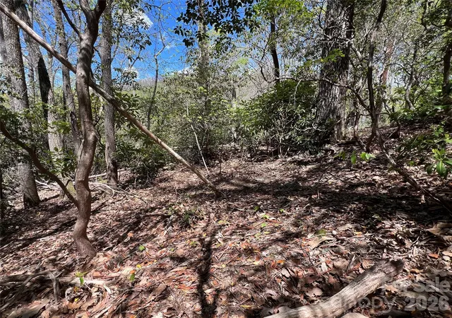 Photo 1 of Land for sale at 99999 Summer Hvn Rd, Swannanoa, NC 28778 | MLS# 4370830 | Listing updated on 2026-08-07