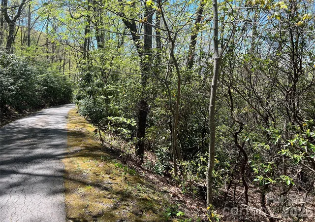 Photo 2 of Land for sale at 99999 Summer Hvn Rd, Swannanoa, NC 28778 | MLS# 4370830 | Listing updated on 2026-08-07