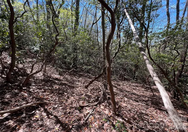 Photo 3 of Land for sale at 99999 Summer Hvn Rd, Swannanoa, NC 28778 | MLS# 4370830 | Listing updated on 2026-08-07