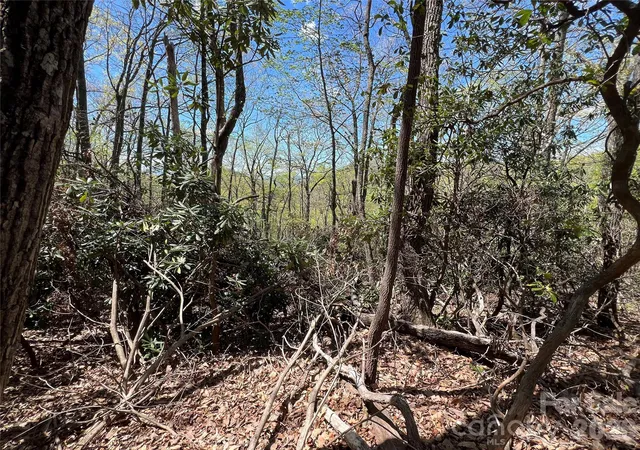 Photo 3 of Land for sale at 99999 Summer Hvn Rd, Swannanoa, NC 28778 | MLS# 4370830 | Listing updated on 2026-08-07