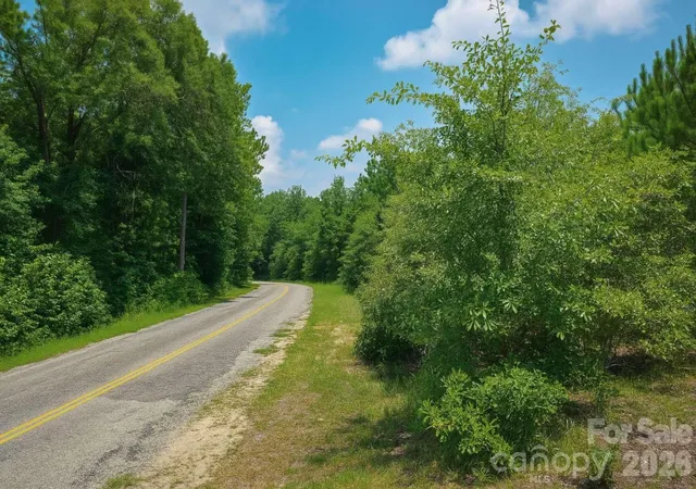 5th image of 00 Blackwell Dr, Kershaw, SC 29067 | MLS# 4370910