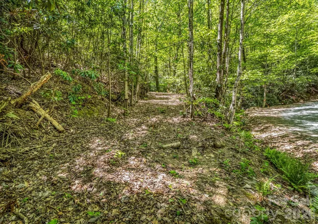Homes for sale in Tryon, NC | 00 Lakeview Dr #414/415, Tryon, NC 28782 | MLS# 4371060