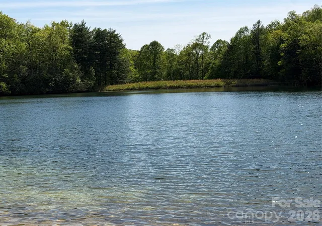 Homes for sale in Tryon, NC | 00 Lakeview Dr #414/415, Tryon, NC 28782 | MLS# 4371060