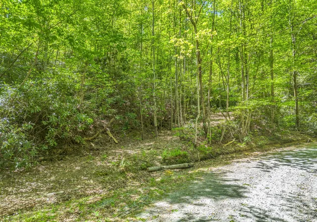 Homes for sale in Tryon, NC | 00 Lakeview Dr #414/415, Tryon, NC 28782 | MLS# 4371060