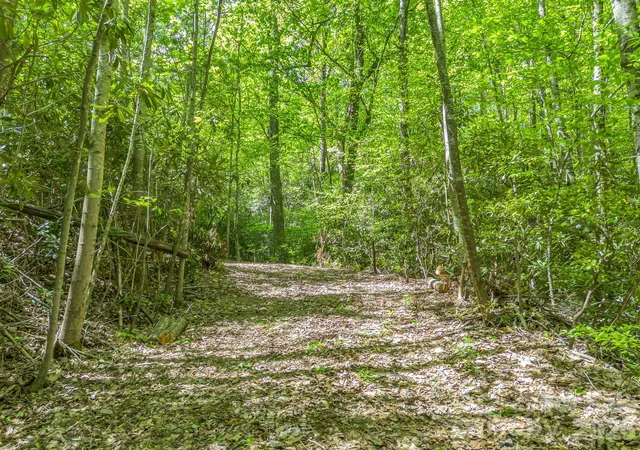 Homes for sale in Tryon, NC | 00 Lakeview Dr #414/415, Tryon, NC 28782 | MLS# 4371060
