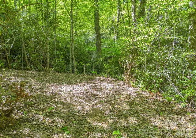 Homes for sale in Tryon, NC | 00 Lakeview Dr #414/415, Tryon, NC 28782 | MLS# 4371060