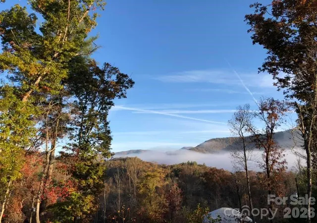 Homes for sale in Sylva, NC | 266 Egret Ln, Sylva, NC 28779 | MLS# 4371087