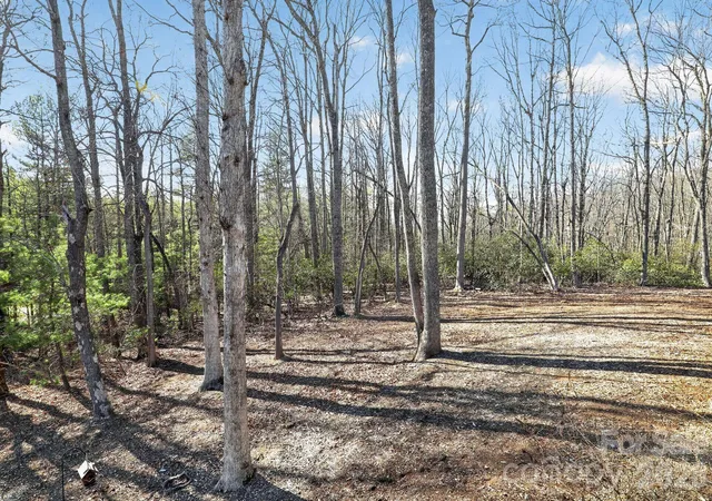 5th image of 3757 Laurel Park Hwy, Hendersonville, NC 28739 | MLS# 4371092