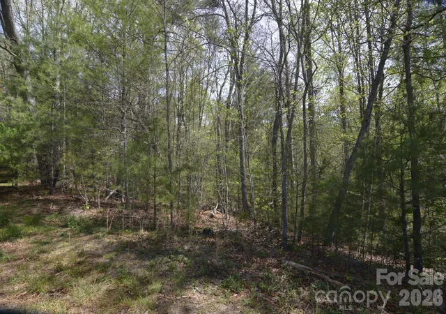 Homes for sale in Leicester, NC | 00 Garnet Dr, Leicester, NC 28748 | MLS# 4371273