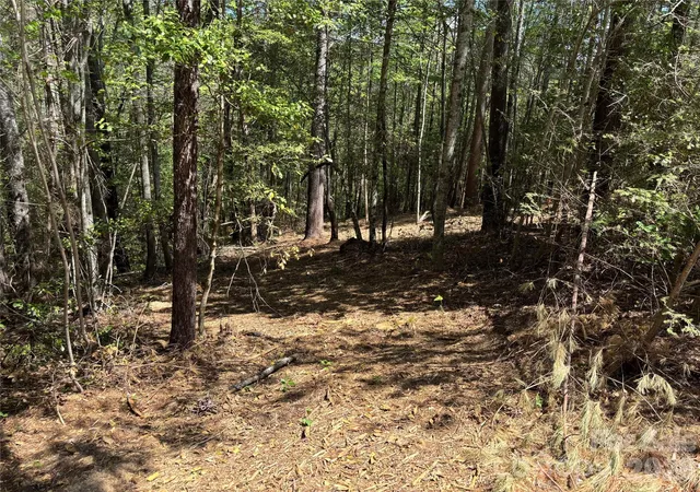 Photo 2 of Land for sale at 1665 Round Mountain Pkwy #69, Lenoir, NC 28645 | MLS# 4371284 | Listing updated on 2026-04-17