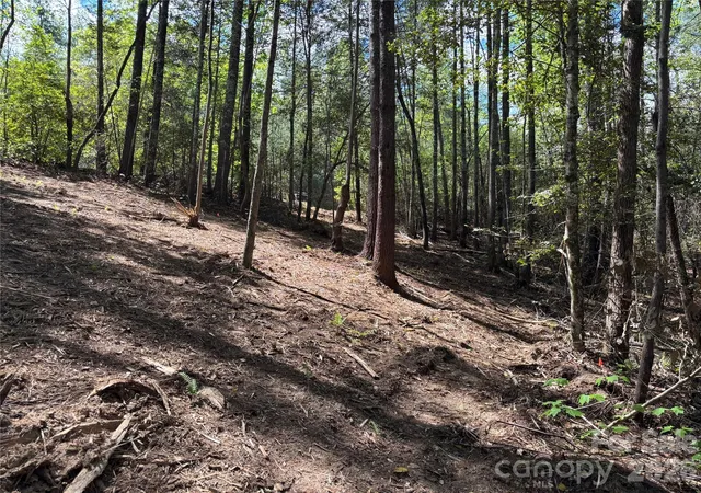 Photo 3 of Land for sale at 1665 Round Mountain Pkwy #69, Lenoir, NC 28645 | MLS# 4371284 | Listing updated on 2026-04-17