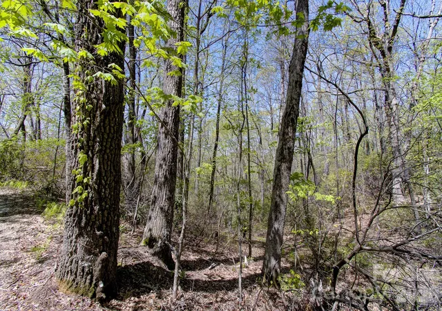 Photo 3 of Land for sale at 99999 Laurel Dr, Black Mountain, NC 28711 | MLS# 4371293 | Listing updated on 2026-04-22