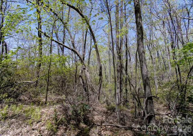 Photo 3 of Land for sale at 99999 Laurel Dr, Black Mountain, NC 28711 | MLS# 4371293 | Listing updated on 2026-04-22