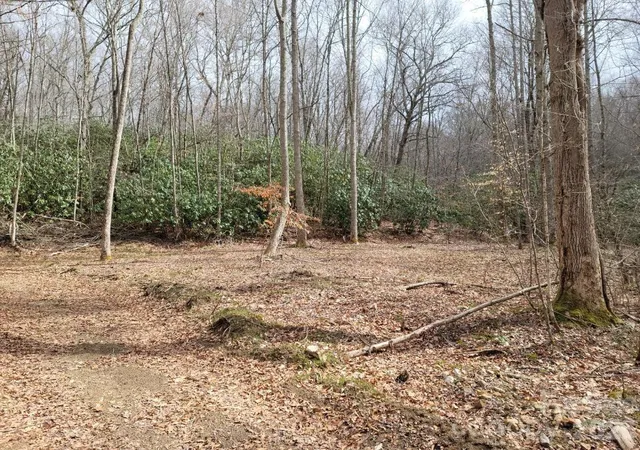 Photo 3 of Land for sale at 334 Omc Dr, Burnsville, NC 28714 | MLS# 4371317 | Listing updated on 2026-09-16
