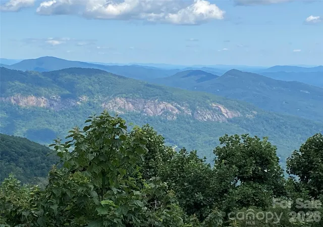 1st image of 1170 Gabe Laugher Rd, Hendersonville, NC 28792 | MLS# 4371508