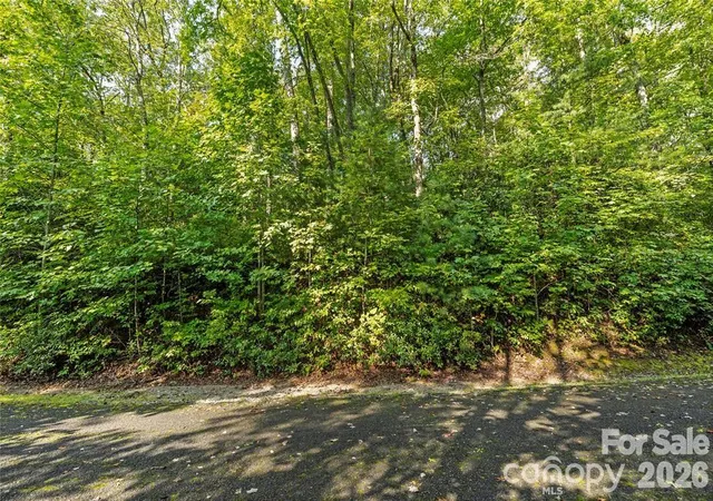 Photo 3 of Land for sale at Tbd Barts Branch Dr #15, Balsam Grove, NC 28708 | MLS# 4371854 | Listing updated on 2026-10-17