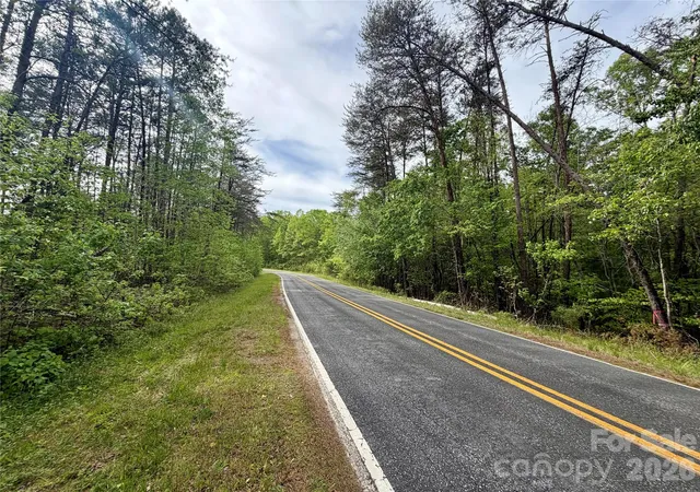 Homes for sale in Rutherfordton, NC | 0 Polk County Line Rd, Rutherfordton, NC 28139 | MLS# 4371857