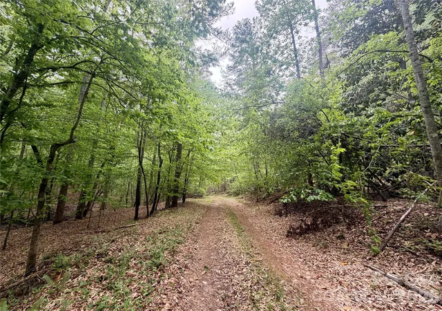 Homes for sale in Rutherfordton, NC | 0 Polk County Line Rd, Rutherfordton, NC 28139 | MLS# 4371857