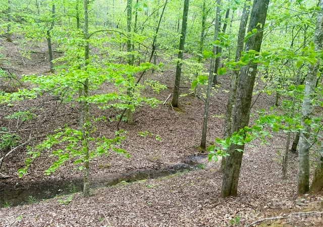 Homes for sale in Rutherfordton, NC | 0 Polk County Line Rd, Rutherfordton, NC 28139 | MLS# 4371857