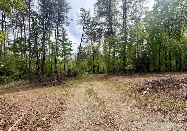 Homes for sale in Rutherfordton, NC | 0 Polk County Line Rd, Rutherfordton, NC 28139 | MLS# 4371857