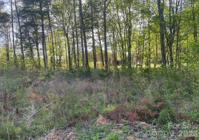 4th image of 4036 Old Salisbury Concord Rd, Kannapolis, NC 28083 | MLS# 4371877