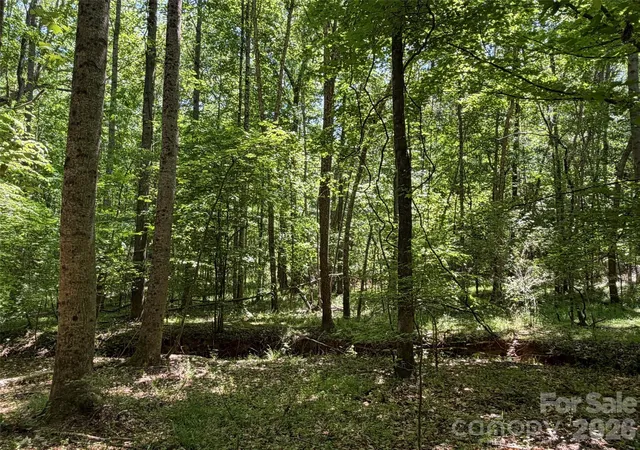 Homes for sale in Union, SC | 2529 Lockhart Hwy, Union, SC 29379 | MLS# 4372175