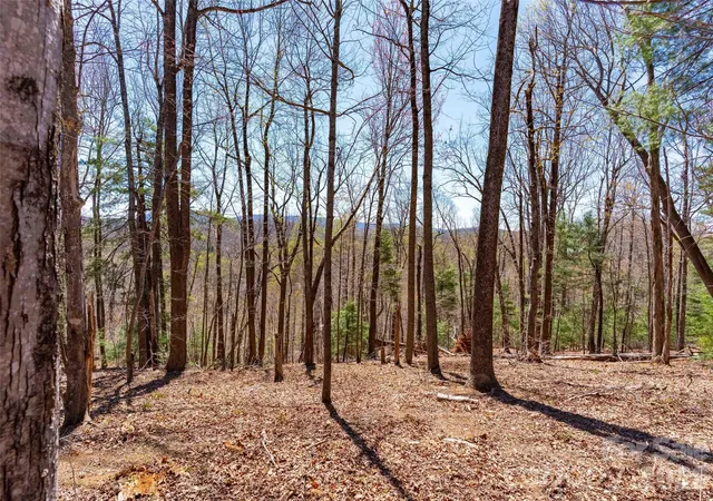 17th image of 000 Glen Echo Cir, Saluda, NC 28773 | MLS# 4372202