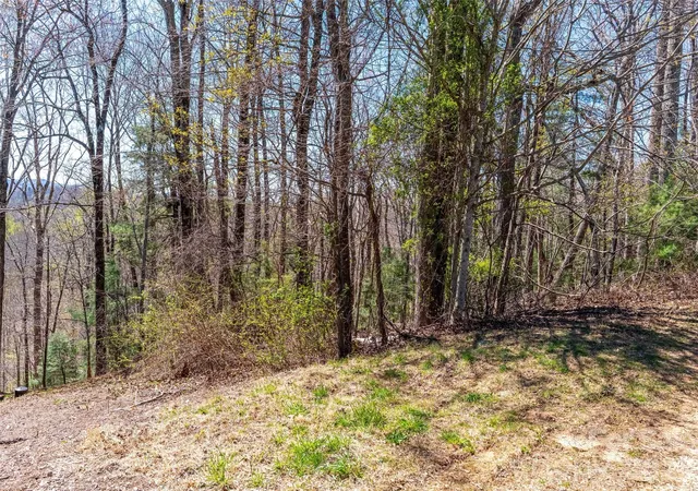 2nd image of 000 Glen Echo Cir, Saluda, NC 28773 | MLS# 4372202