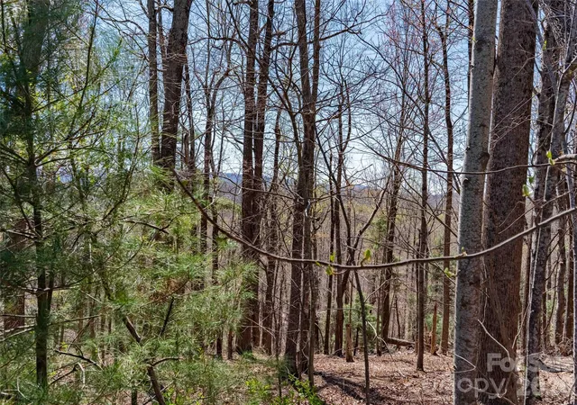3rd image of 000 Glen Echo Cir, Saluda, NC 28773 | MLS# 4372202
