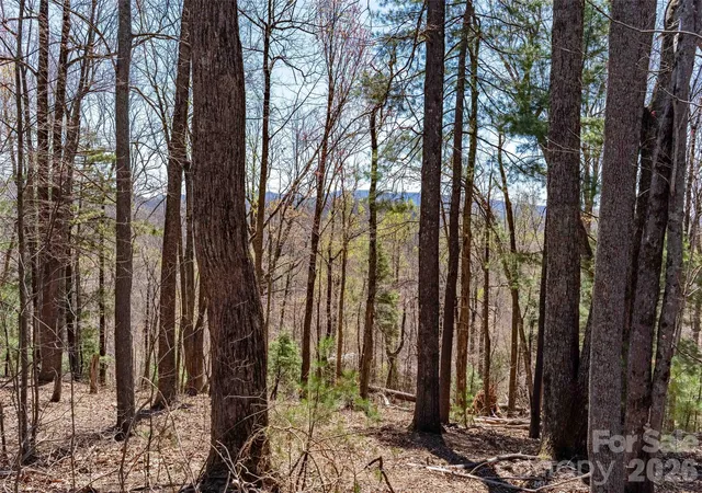 4th image of 000 Glen Echo Cir, Saluda, NC 28773 | MLS# 4372202