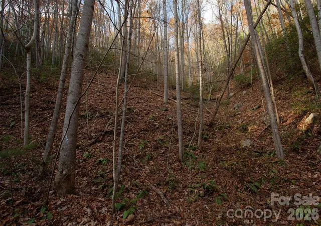 Homes for sale in Marshall, NC | Tbd Rector Branch Rd #4, Marshall, NC 28743 | MLS# 4372295