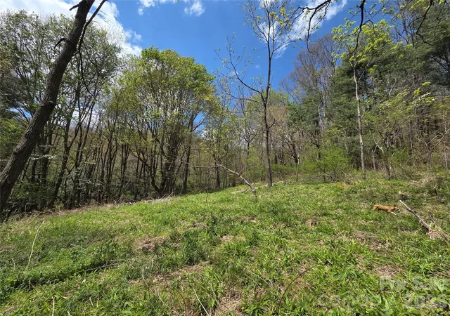 Homes for sale in Glenville, NC | 0 Robinson Creek Rd, Glenville, NC 28736 | MLS# 4372633