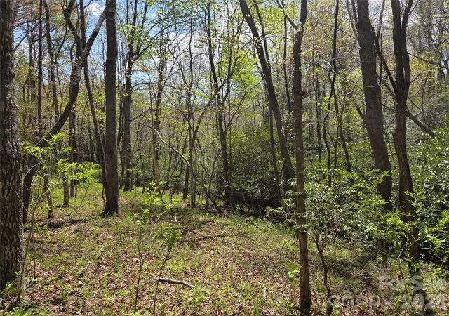 Homes for sale in Glenville, NC | 0 Robinson Creek Rd, Glenville, NC 28736 | MLS# 4372633