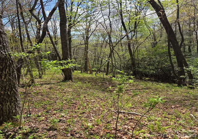 Homes for sale in Glenville, NC | 0 Robinson Creek Rd, Glenville, NC 28736 | MLS# 4372633