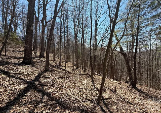 Homes for sale in Mars Hill, NC | 000 Granny Shepherd Rd #Lot 2, Mars Hill, NC 28754 | MLS# 4372662