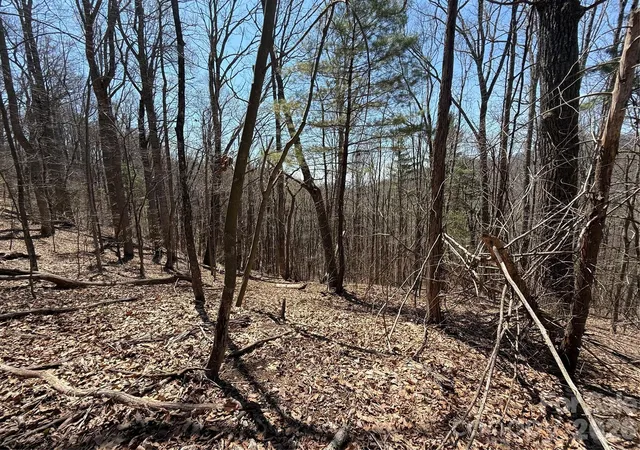 Homes for sale in Mars Hill, NC | 000 Granny Shepherd Rd #Lot 2, Mars Hill, NC 28754 | MLS# 4372662