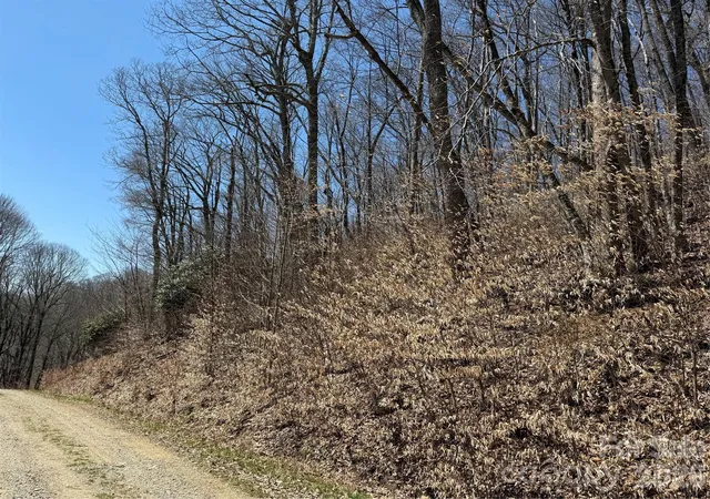 Homes for sale in Mars Hill, NC | 000 Granny Shepherd Rd #Lot 3, Mars Hill, NC 28754 | MLS# 4372683