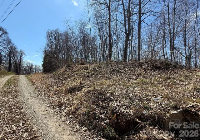 Homes for sale in Mars Hill, NC | 000 Granny Shepherd Rd #Lot 3, Mars Hill, NC 28754 | MLS# 4372683