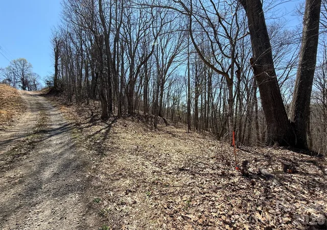Homes for sale in Mars Hill, NC | 000 Granny Shepherd Rd #Lot 3, Mars Hill, NC 28754 | MLS# 4372683